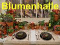 38 Blumenhalle
